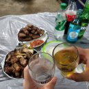 제부도펜션 벚꽃 이미지