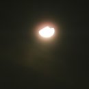반달 이미지