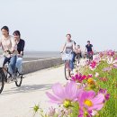 꽃길따라 이미지