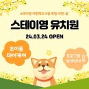 스테이영 애견학교 이미지