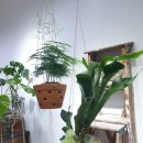 [서부] 홈베이킹 이미지