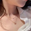 스테디안 네이버블로그