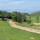 상관목장 이미지