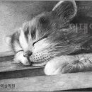 이데아입시학원
