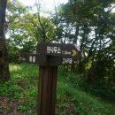 안목섬 Daum카페