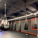 데일리 복싱 | 신방동복싱 [365복싱데이] 신방동에서 즐기는 데일리 복싱 후기