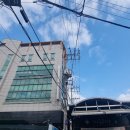 순애상회 Daum카페