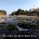 제주도 물놀이 강정천에서 시원하게 느긋하게 즐기기 좋아요 이미지