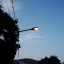 좌삼초등학교 | 양산 빡돈 대나무숲 테이블 못 앉아서 빡돈후기..