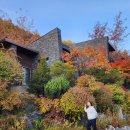 선비골전통시장 | 🍁 11월 절정의 단풍 속으로, 가족과 함께한 2박 3일 힐링 여행기