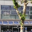 정아약국 이미지