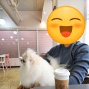 러블리 모찌카페