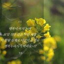 배방공업사 이미지