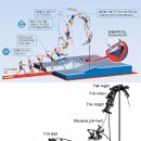 ﻿장대 높이뛰기와 토 점프 - 닮고도 다른 사이 이미지