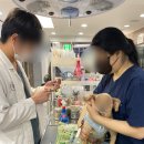 24시독스동물병원