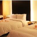 호텔 그라모스 서울강남 이미지