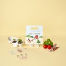 단원어린이집 | 어린이집 식목일 행사 키트 이걸로 고민 끝! 쉽고 간편한 diy 씨앗 심기