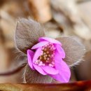 바우길 13구간 이미지