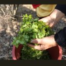 미락농장 이미지