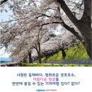 4월8일(토) 사천항-경포호수 벚꽃축제-안목항 트레킹 정기산행 예고 이미지