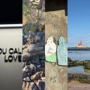 대동길 | 29 Nov. 제주 이호테우부터 노형동까지, 여자 혼자 제주여행