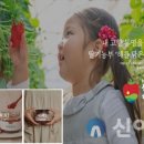 해담영농조합법인 이미지