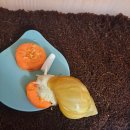 나에개로 이미지