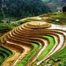 공인대한 번역&일반 행정사 사무소 이미지