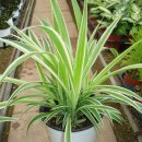 금란농장 이미지