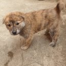 황호농장 이미지