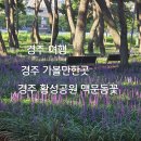 은파랑여행사