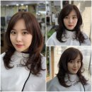 컷트랑파마랑 이미지