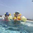 코튼캔디 | 물놀이 필수품 어린이튜브 추천 캠포티아 코튼캔디 암튜브 실사용 후기