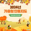 🍁2024 가을철 단풍지도🍁 이미지