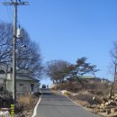 갯벌보러가는길 이미지