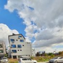 구백년짜장 용이점 이미지