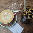 홍콩 카페 추천 하프웨이커피 눅커피 위치 가격 분위기 홍콩 셩완 카페거리