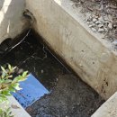 사림동311 이미지