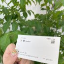 새롬프라자 6차 이미지