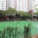 반송동236 이미지