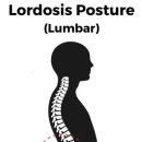 짐포레스트 방배점 이미지