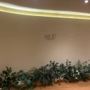 더 뮤 | W9. 포항 더퀸 웨딩드레스 피팅 후기 _ 웨딩뮤