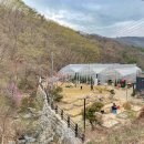 다원농장 이미지