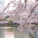 정오교통(주) 이미지