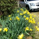 수림 농장 이미지