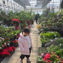 남궁농원 이미지