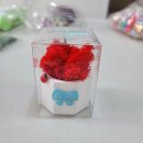 삼평중학교 이미지