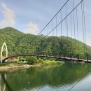 연하엽구름다리 이미지