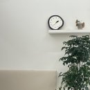 샌트루 이미지