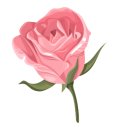 민트플레이 이미지